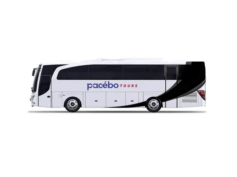 Medium HD Bus Pariwisata