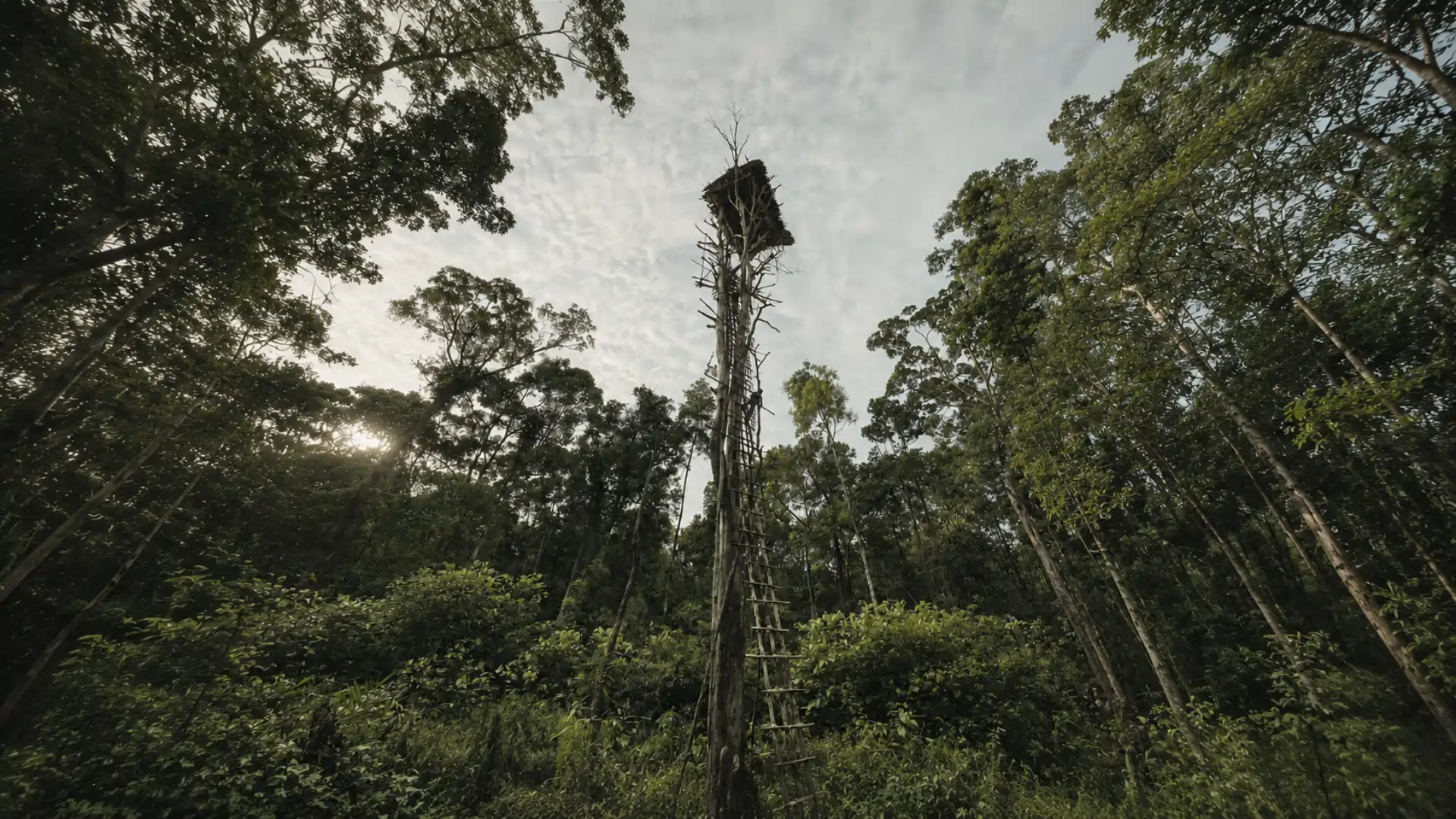Korowai & Asmat — Waldwelten, Flusskulturen & abgelegene Regionen