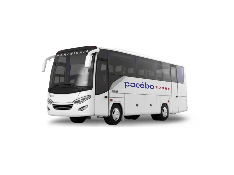 Medium Bus Pariwisata