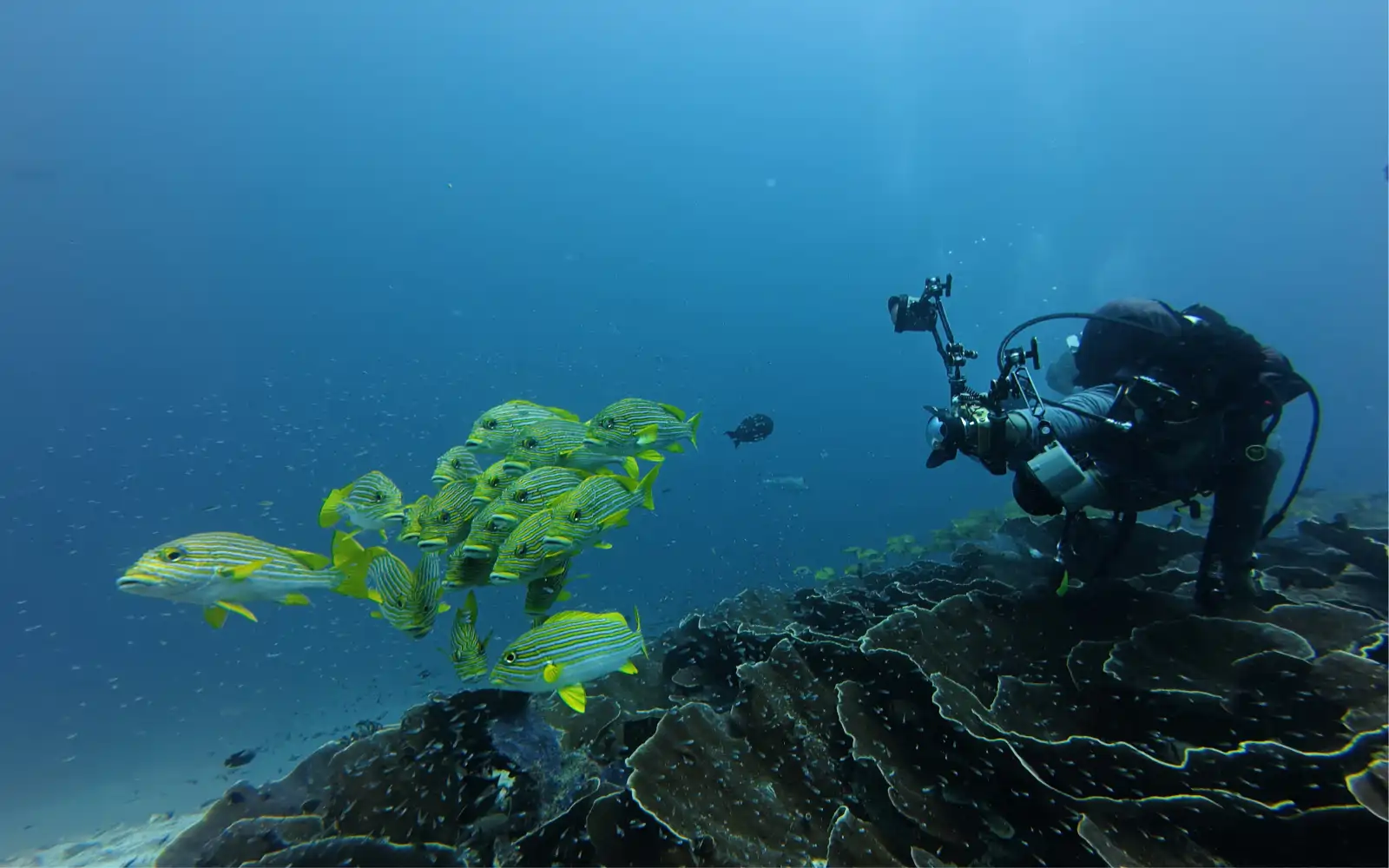 Raja Ampat — Riffe, Lagunen & Inselwelten