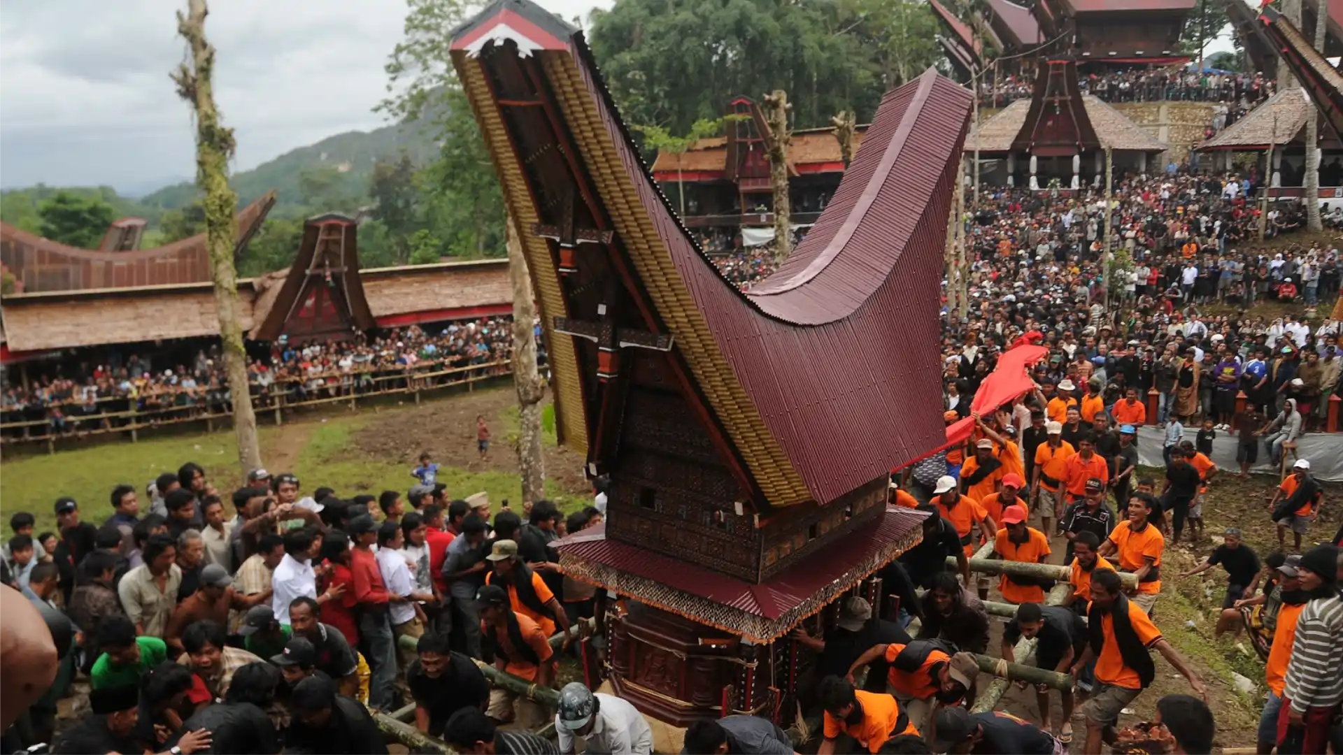 Toraja — Tongkonan, Felswände & lebendige Traditionen
